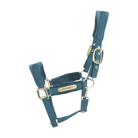  Kentucky kantar anatomiczny Velvet - szmaragdowy