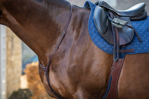 Skórzany napierśnik Dy'on Yoke New English - brązowy