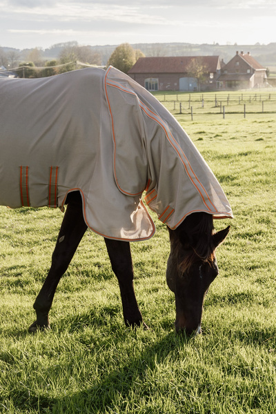 Derka Kentucky Mesh Fly Rug Comfort