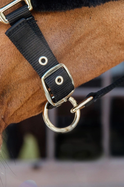 Kentucky kantar podszyty futrem Soft - czarny