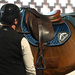 Veredus czaprak skokowy Saddlecloth Jumping S1 Velvet - granatowy