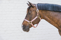 Kentucky kantar Nylon Halter Breakaway - różowy