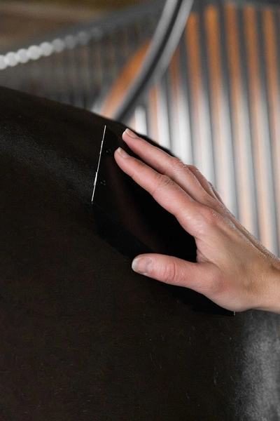 Metalowe zgrzebło - Kentucky Grooming Deluxe