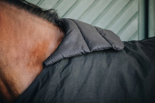 Kentucky ochraniacz na klatkę piersiową BIB Summer - czarny