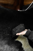 Metalowe zgrzebło - Kentucky Grooming Deluxe