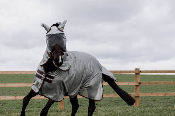 Derka Kentucky Mesh Fly Rug Classic