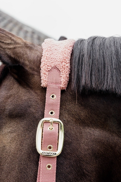 Kentucky kantar Teddy Fleece podszyty puchatym polarem - old rose