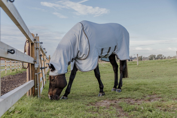 Derka chroniąca przed owadami Kentucky Eczema Rug