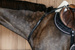 Skórzano-elastyczny napierśnik z plecionką Dy'on Bridge Breastplate New English