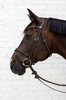 Ogłowie Dy'on New English Flash Noseband Bridle - Soft Collection - brązowe