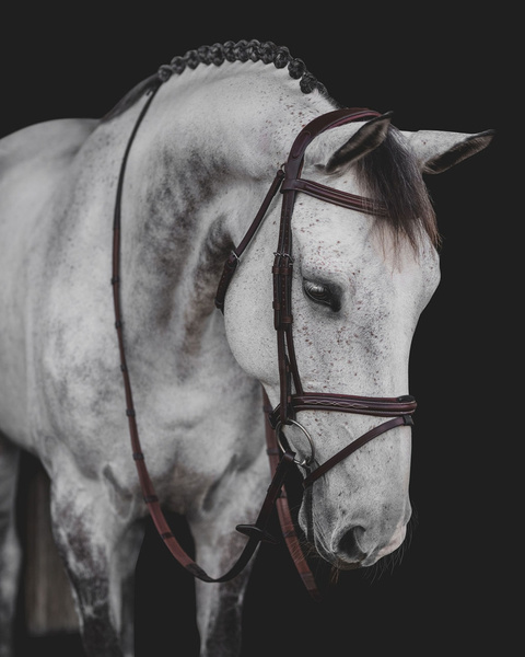 Ogłowie Equiline z przeszyciami BJ301 - brązowe
