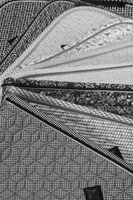 Kentucky czaprak Velvet Printing - brąz/biały