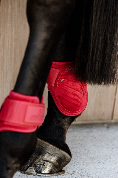 Kentucky Ochraniacze Young Horse Fetlock Velvet na zadnie nogi - czerwone