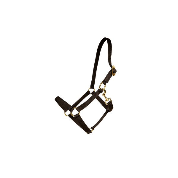 Kentucky kantar Nylon Halter - czarny