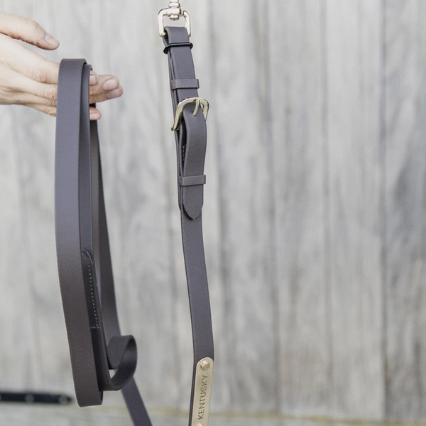 Kentucky uwiąz spacerowy - brązowy