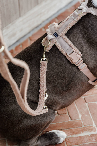 Smycz Kentucky Teddy Fleece 2m - beżowa