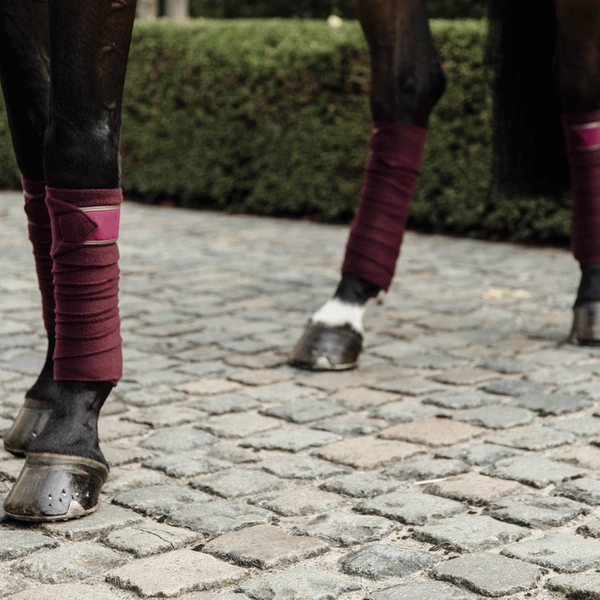 Kentucky bandaże Polar Fleece - bordowe