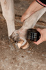 Maść na grudę Mud Fever Cream Plus 250g - Kentucky Grooming Deluxe