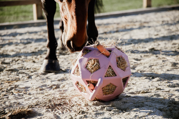 Kentucky elastyczna piłka na siano Relax Horse Play & Hay Ball - pudroworóżowa