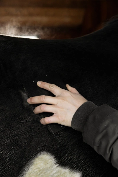 Metalowe zgrzebło - Kentucky Grooming Deluxe