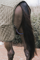 Kentucky derka stajenna 160g - khaki