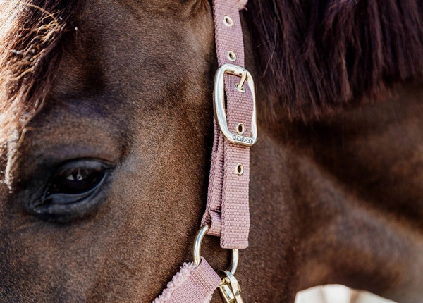 Kentucky kantar Teddy Fleece podszyty puchatym polarem - old rose