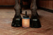 GD Hoof Oil Shine 500ml czarny - Kentucky Grooming Deluxe