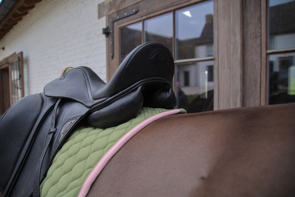 Kentucky czaprak Softshell Onion Quilt - khaki