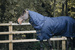 Kentucky derka padokowa All Weather Waterproof Pro 300 g - granatowa