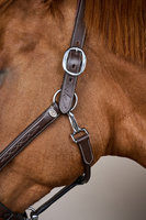 Dy'on kantar Head Collar Fancy - brązowy