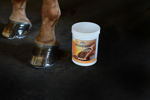 Veredus maść do kopyt Golden Hoof 5 L