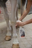 Veredus suchy szampon w sprayu dla siwych koni Easy White 500 ml