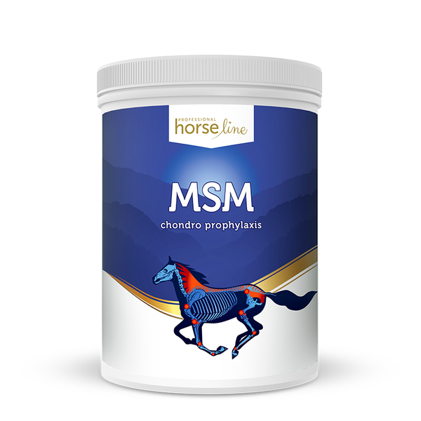 HorseLinePRO MSM 1300g
