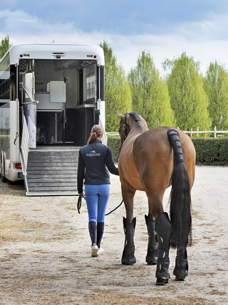 Komplet ochraniaczy transportowych Equiline Rex