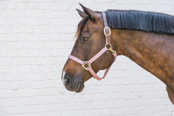 Kentucky kantar Nylon Halter Breakaway - różowy