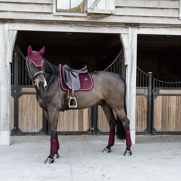 Kentucky czaprak Velvet - bordowy