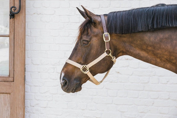 Kentucky kantar Nylon Halter Breakaway - beżowy