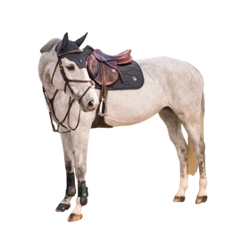 Nauszniki Samshield FlyShield Swarovski - antracytowe