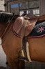 Puśliska Dy'on Leather Stirrup Straps Mono - jasny brąz