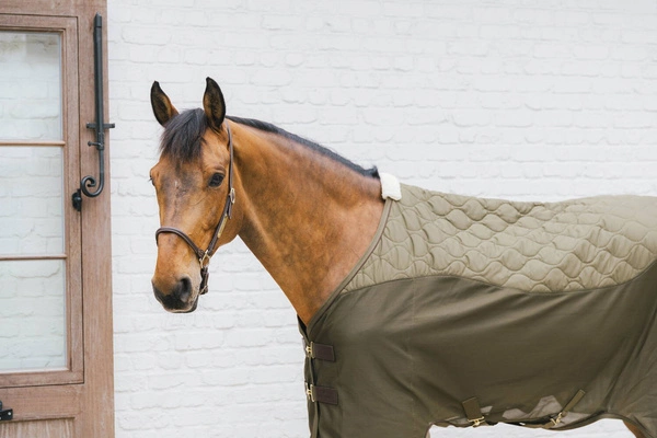 Kentucky derka polarowa Transport Combo Cooler - khaki