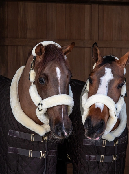 Kentucky kantar obszyty futrem - naturalny