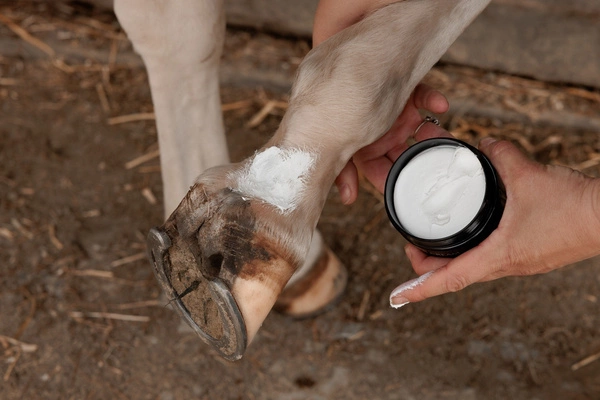 Maść na grudę Mud Fever Cream Plus 250g - Kentucky Grooming Deluxe