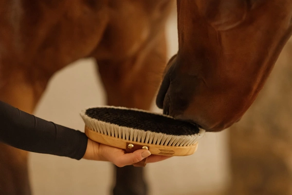 Szczotka nabłyszczająca do sierści - Kentucky Grooming Deluxe