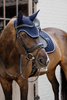 Kentucky czaprak Diamond Rope - granatowy