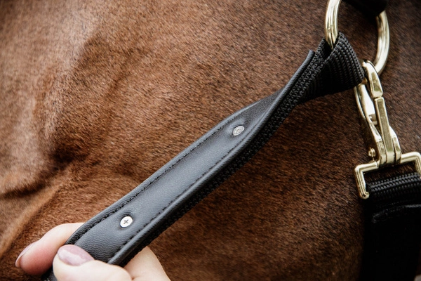 Kentucky kantar Nylon Anatomic - beżowy