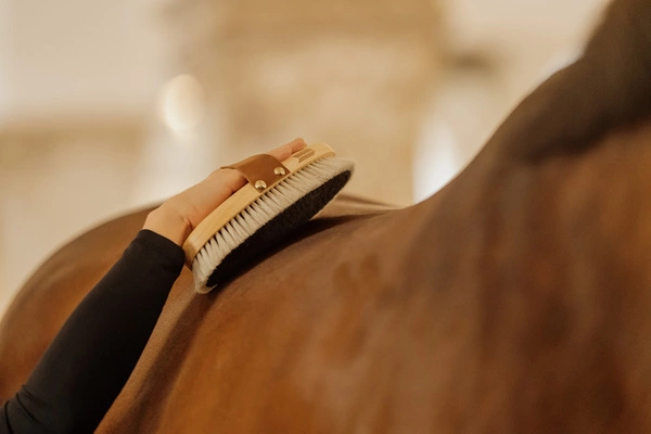 Szczotka nabłyszczająca do sierści - Kentucky Grooming Deluxe