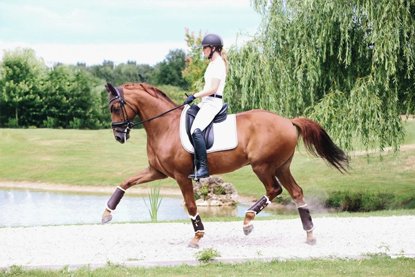 Kentucky skórzane ochraniacze Turnout - brązowe