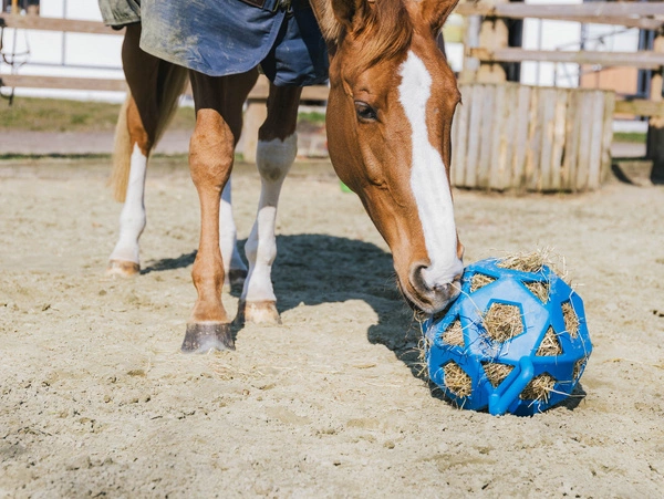 Kentucky elastyczna piłka na siano Relax Horse Play & Hay Ball - niebieska