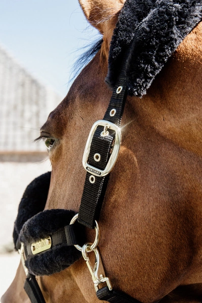 Kentucky kantar podszyty futrem Soft - czarny