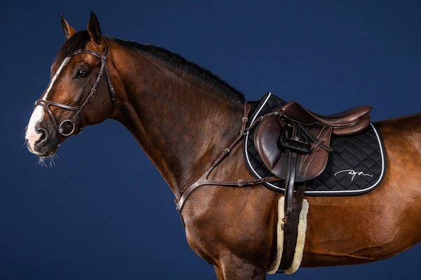 Anatomiczny skórzany napierśnik Dy'on US Jumping - czarny